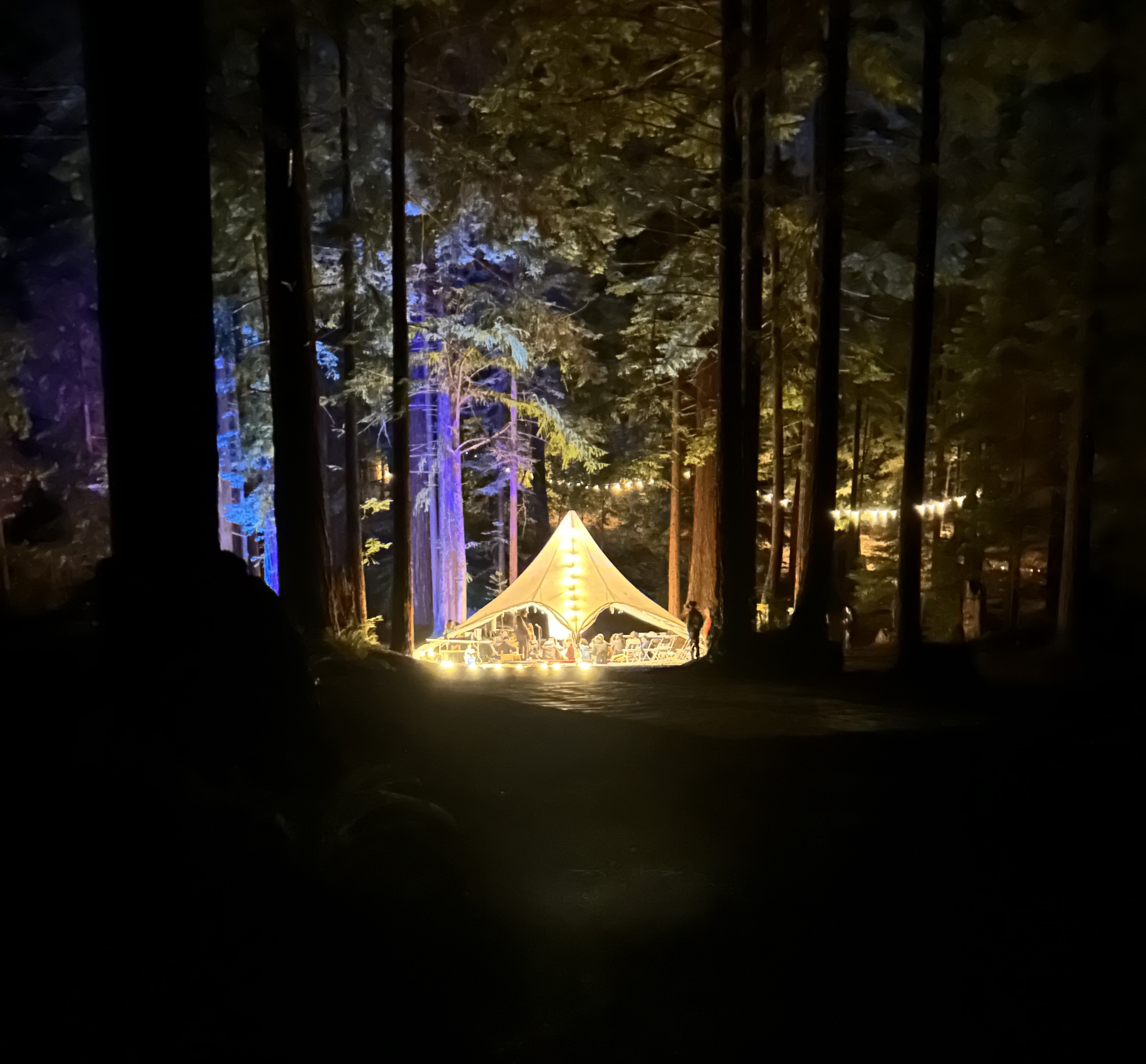 A DWeb Camp tea tent lit at night